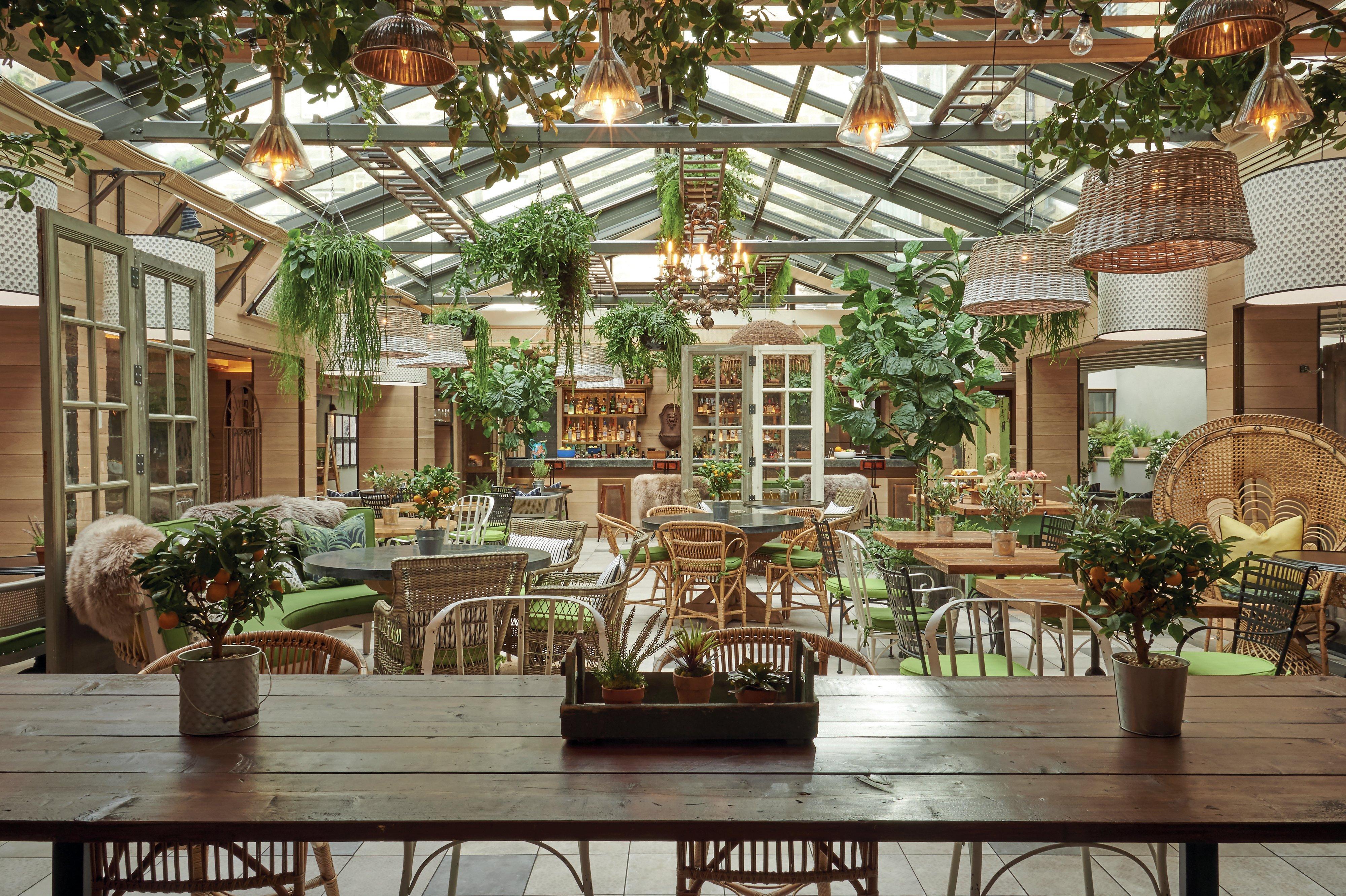 Kimpton Charlotte Square By Ihg Hotel Edinburgh Luaran gambar The Conservatory